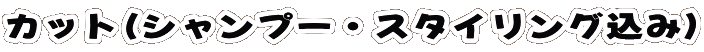 JbgiVv[EX^CO݁j 